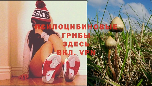 прущий лед Гусев