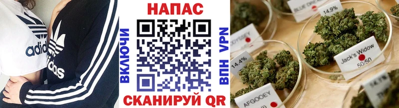 МАРИХУАНА планчик  Купить где  Чекалин 